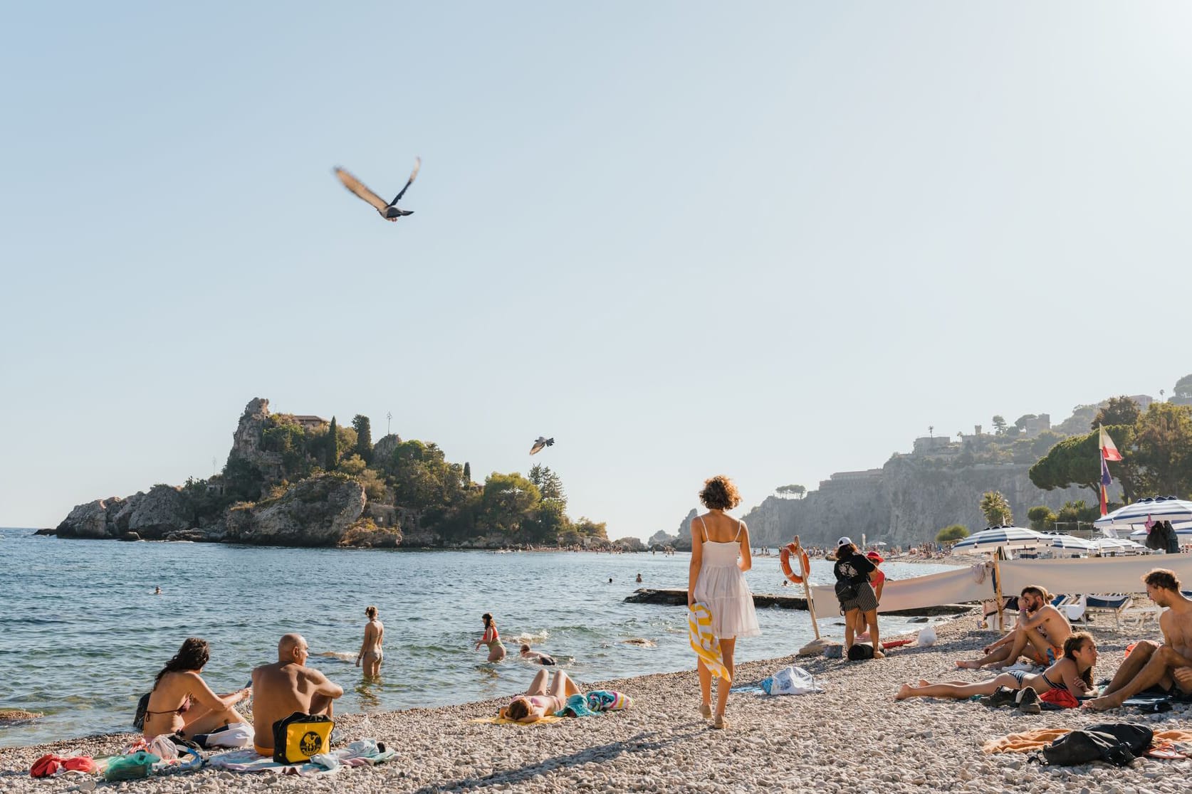 Availability in July and August